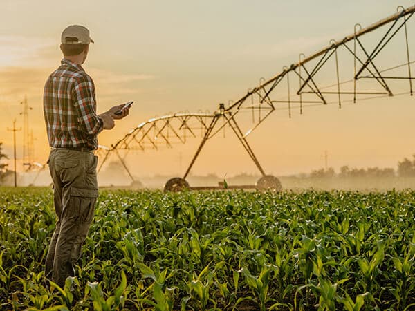 Business Argiculture Feature Hero 600x450 Farmer looking at crops in a field